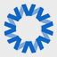 National Vision logo