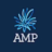 AMP Limited logo