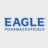 RAPID EAGLE INC logo