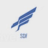 SDF Systems logo