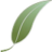 Smartleaf logo