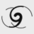 The New York Academy Of Sciences logo