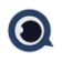 BIRDSVUE LLC logo