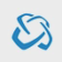 Salvador Caetano logo
