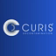 Curis System Llc logo