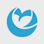 Geo Owl logo
