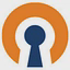 Openvpn logo