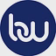Businesswire logo