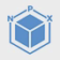 NPX logo