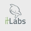 It labs logo