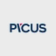 Picus logo