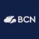 Bcngroup logo