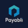 Payabli logo