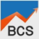 Basecamp Consulting & Solutions LLC logo
