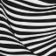 Zebra Group GmbH logo