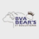 BVA Bear'S IT Solutions logo