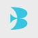 Bluebirdkidshealth logo