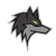 Darkwolfsolutions logo