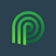 Palmettocleantech logo