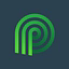Palmettocleantech logo