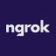 Ngrokinc logo