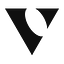 Trueanomalyinc logo