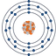 Zambold logo