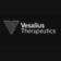 Vesalius logo