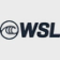 Worldsurfleague logo