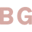 Birdygrey logo