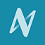 Nevis Security logo