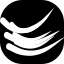 Ceo Life logo