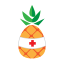 Ensodata logo