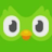 Duolingo logo