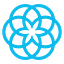 Salsify logo