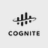 Cognite logo
