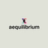 Aequilibrium Software Inc. logo