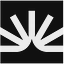 Fullstory logo